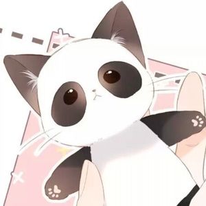 Meet your Posher, Joyce